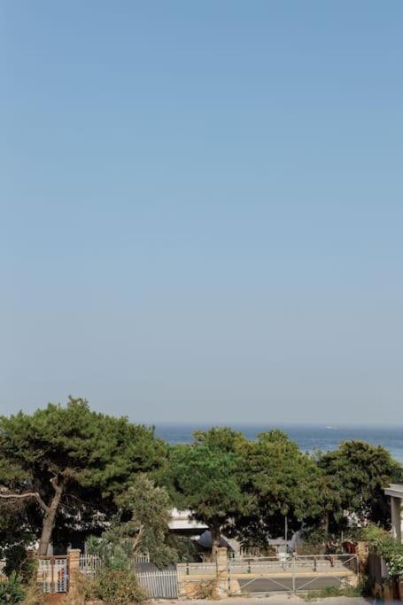 希俄斯Ναυτικός Όμιλος Nautical Club公寓 外观 照片